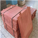 Ready to Export 800 MT of Copper Cathode Regularly to the International Market 